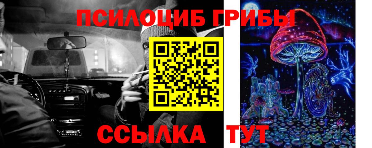 Галлюциногенные грибы GOLDEN TEACHER  Вход с VPN  Тобольск 