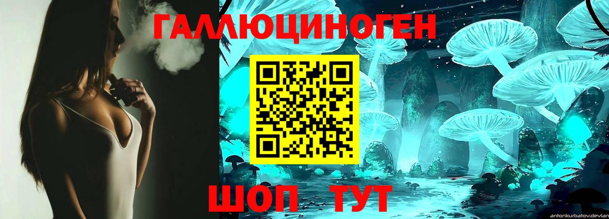 Галлюциногенные грибы Psilocybe Тобольск